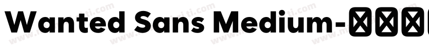 Wanted Sans Medium字体转换